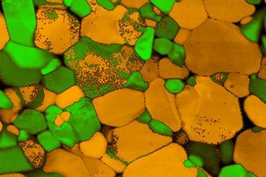 A microscopy photo showing closely spaced yellow and green splotches representing the different polymorphs