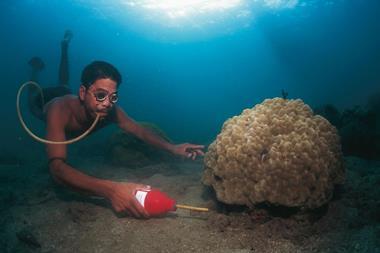 A diver spraying cyanide solution into a reef in order to stun tropical fish for capture and sale