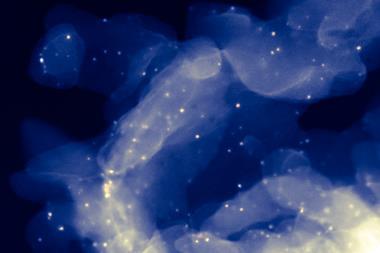 Abstract micrograph-style image