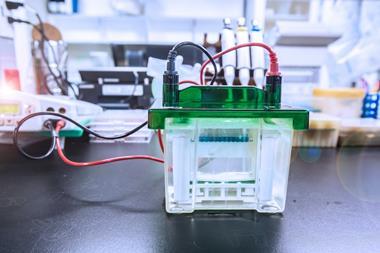 Photo of a Western blot analysis on a lab bench in a lab