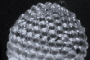 Gas marble electron micrograph