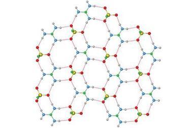 2D hydrogen bond network image