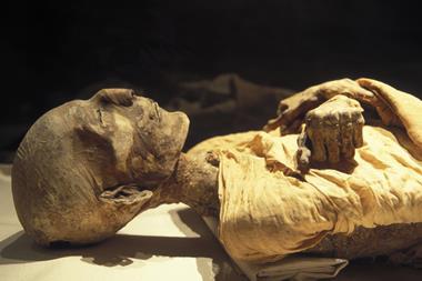 The Royal mummy of Merneptah