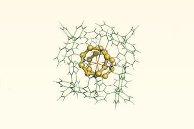 A 3d chemical structure of organic molecules around two rings of eight sulfurs.