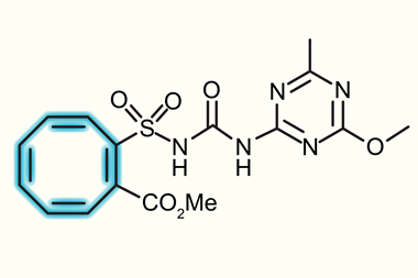 An organic compound that includes an eight carbon ring