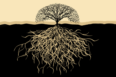 An image showing a tree with big roots