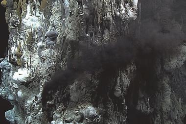 Hydrothermal vent