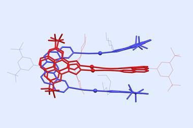 An image showing an identical red and a blue structure locked together. Each part consists of a U bend with a long bar sitting perpendicular at each end of the U. The perpendicular bars of each structure is sitting behind the ones of the other.