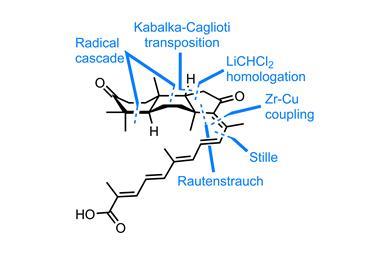An image showing (±)-rhabdastrellic acid A