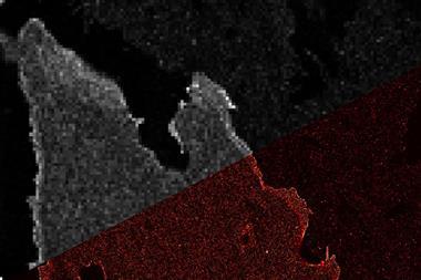 An image of a blob with the top half pixellated in grey scale and the bottom sharper in red and black