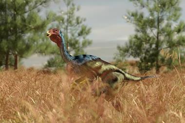 An image showing an animal that seem to be in-between a velociraptor and a chicken walking on two legs through tall grass. It has a yellow beak-like mouth, a red skinny head and a body covered in blue and green feathers.