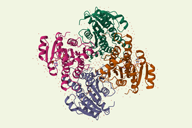 Carbonyl reductase