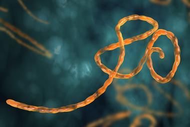 artist's impression of an ebola virus in the body