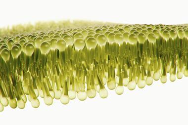 Lipid membrane modelled in yellow on a white background