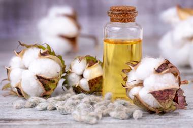 A vial of cottonseed oil with cottonseeds and cotton bolls