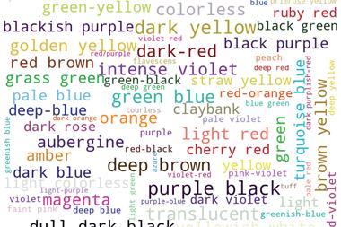 An image showing words used in the CSD to describe colours
