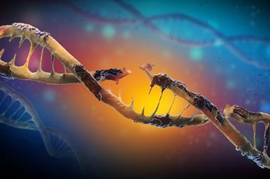 Single-strand damage in DNA
