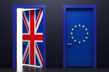 Two doors - one open with a union jack on and one closed with an EU flag.