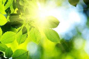 A photograph showing sunshine through green leaves