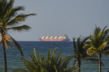 A tanker ship on the Strait of Hormuz in the ocean as seen from the shore where there are palm trees