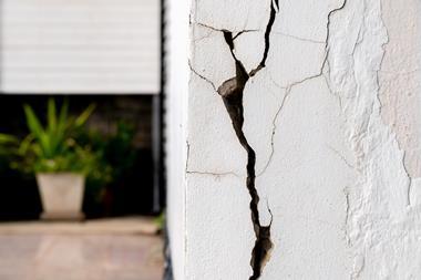 Cracked concrete wall with plant in background