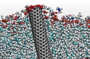 computer representation of the small diameter carbon nanotube porin
