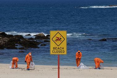 Beach clean-up in Australia