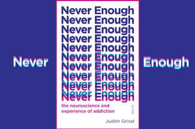 An image showing the book cover of Never enough