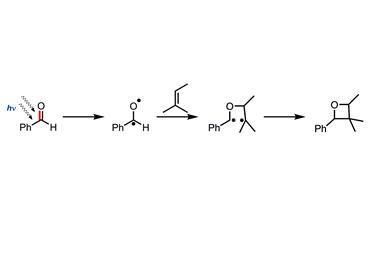 Image showing summary of the Paternò-Büchi reaction mechanism