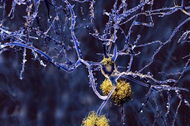 An image showing neurons