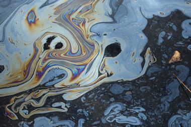 A photo of an iridescent oil slick atop dark, boggy water