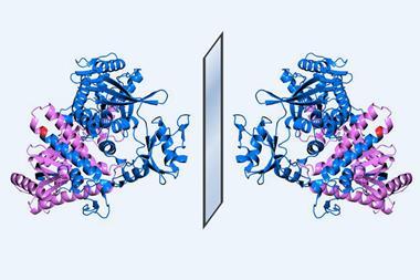 An image showing two mirror image enzymes opposite each other. The enzymes are depicted as blue and purple swirly and helical lines