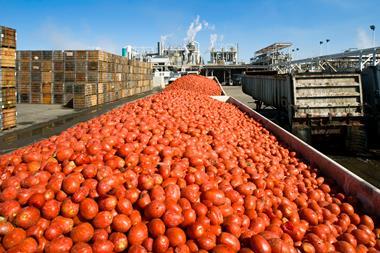 Tomato production