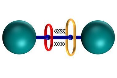 Ring within a ring rotaxane