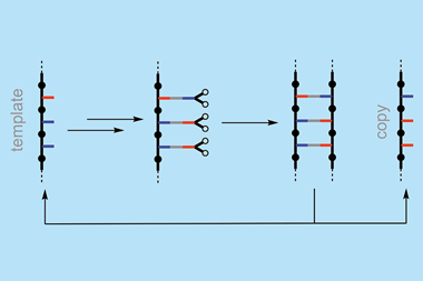 An image showing the sequence information transfer using covalent template-directed synthesis