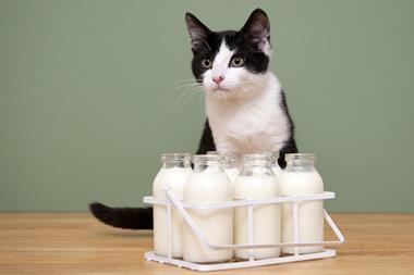Young black and white cat with bottles of milk