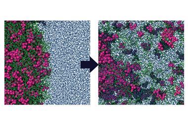 Release from an Amorphous Solid Distribution (ASD)