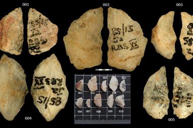 Quarts backed microliths