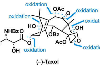 An image showing the structure of taxol
