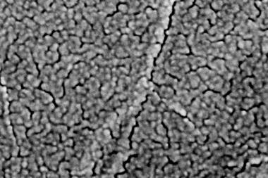 SEM image for Flick of a switch alters permeability of graphene oxide article