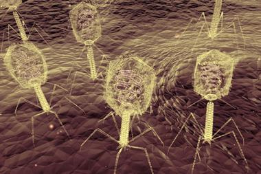 An up-close electron microscope style illustration of bacteriophage viruses infecting bacteria
