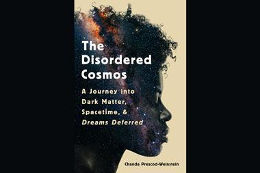 An image showing the book cover of The disordered cosmos