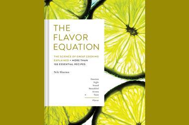 An image showing the book cover of The flavor equation