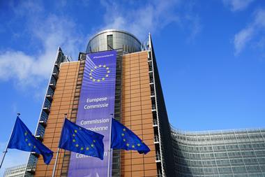 An image showing the European Commission
