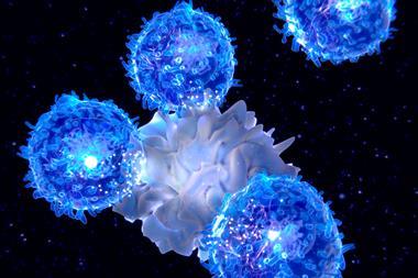 Dendritic cell and T-lymphocytes