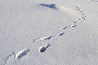 An image of footprints in the snow