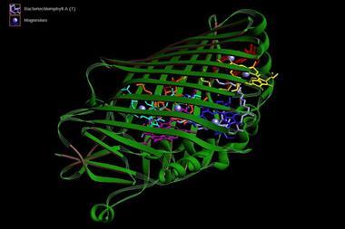 A three-dimensional computer model of a molecule of bacteriochlorophyll a