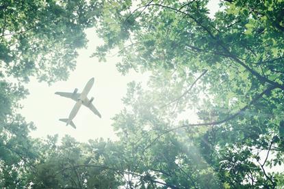 Aeroplane viewed through forest canopy