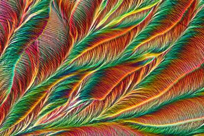 Polarised light micrograph of paracetamol crystals