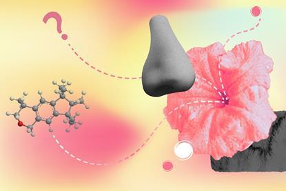 Nose, flower, molecule and question mark